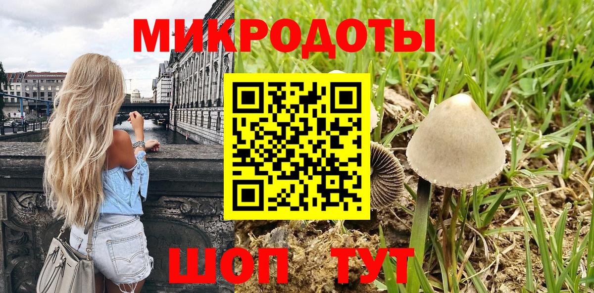 Галлюциногенные грибы GOLDEN TEACHER Славгород