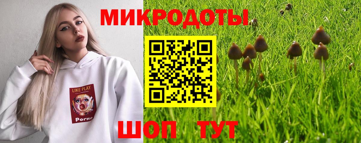 Галлюциногенные грибы ЛСД  Вход с VPN  Славгород 